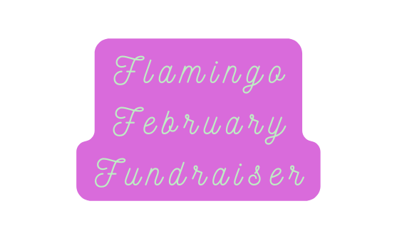 Flamingo February Fundraiser